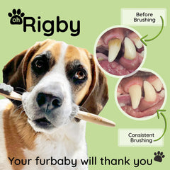 OH RIGBY brosse en usage main nettoyant les dents pour meilleur confort