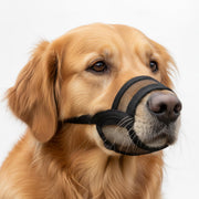 OHNSO muselière vue de face montrant maintien et confort pour grands chiens