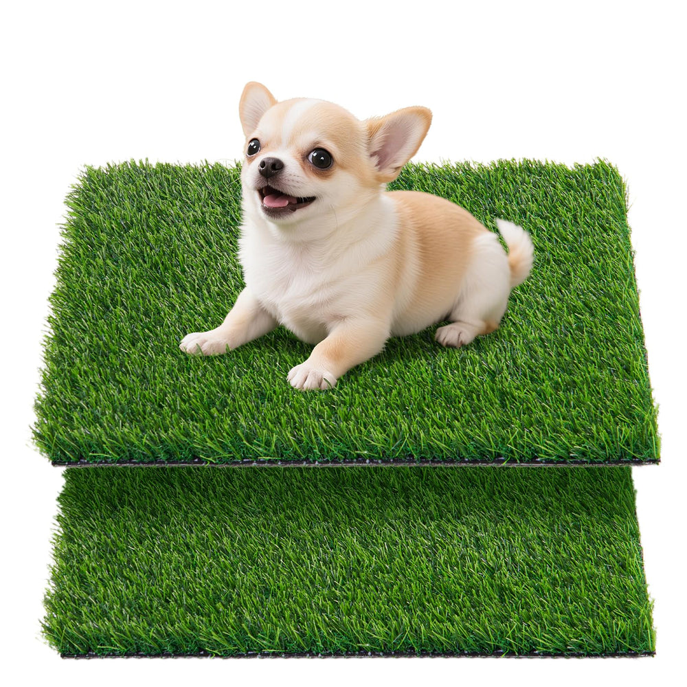 Tapis Oiyeefo face avant montrant gazon artificiel prêt à l'emploi, confort pour chien