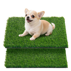 Tapis Oiyeefo face avant montrant gazon artificiel prêt à l'emploi, confort pour chien