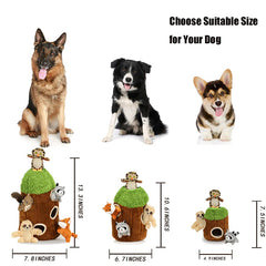 okegztoa échelle taille comparaison montre dimensions adaptées grands chiens