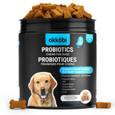OKKÖBI pot de chews probiotiques pour chiens, pratique et dosage clair