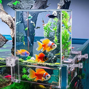 Okllen vue face de l'aquarium suspendu montrant design gain de place