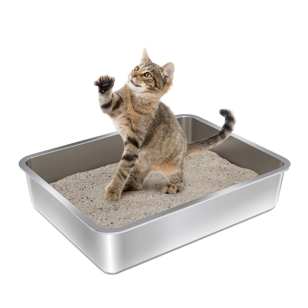 Olacat bac face avant montrant forme basse et accès facile