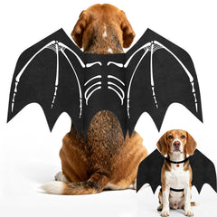 OLANRUN costume ailes chauve‑souris vue de face montrant tenue complète et maintien