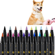 OLINGYOU vue de face du coffret de stylos vernis pratique et coloré