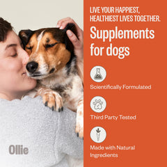 Gros plan texture masticable Ollie Zoomies soulignant la saveur dinde