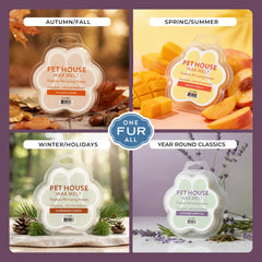 One Fur All fondant fondu dans chauffe-cire illustrant diffusion contrôlée et durable