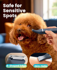 oneisall tondeuse en usage sur patte de chien réduit stress et bruit