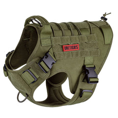 OneTigris visage avant du harnais montrant maintien et robustesse