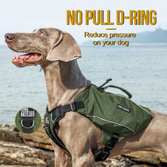 ONETIGRIS poignée supérieure utilisée pour soulever le chien facilement