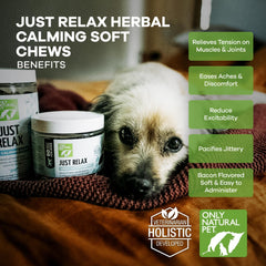 Only Natural Pet chien acceptant une chew, aide au calme lors d'un moment stressant