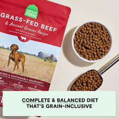 Open Farm gros plan croquettes montrant texture digestible et appétence