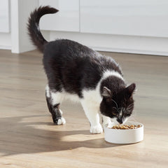 Open Farm morceaux lyophilisés visibles ajoutant appétence et nutriments