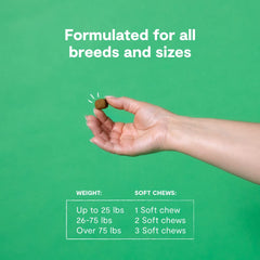 Open Farm comparaison taille à côté d'un chien pour échelle