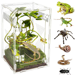 Orekemo vue avant du terrarium acrylique montrant visibilité et compacité