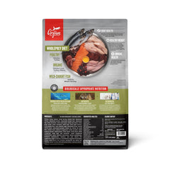 ORIJEN gros plan sur texture de croquettes offrant forte teneur en protéines