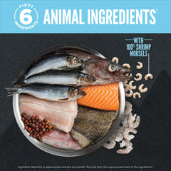 Assortiment de poissons entiers ORIJEN illustrant diversité et nutrition