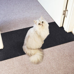 Oroonoko protecteur face avant montrant protection robuste pour tapis