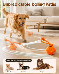 osou jouet en action avec chien encourage activité et jeu autonome