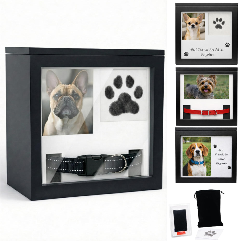 OtterPets urne face avant montrant le cadre photo et le rangement, hommage discret