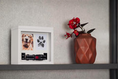 OtterPets urne ouverte avec photo et collier, rangement sécurisé des souvenirs