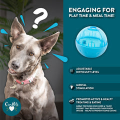 Our Pets détail du disque interne réglable pour ajuster la difficulté