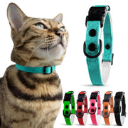OutdoorBengal collier avant bleu montrant look discret et robuste
