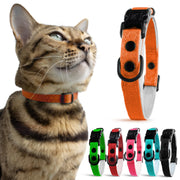 OutdoorBengal collier orange face emballage durable et visible