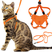 OutdoorBengal harnais avant packaging montrant sécurité et confort