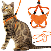 OutdoorBengal harnais avant porté montrant maintien et confort