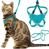 OutdoorBengal harnais face avant montrant maintien sûr
