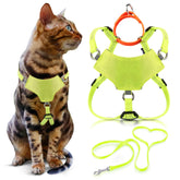 OutdoorBengal harnais face avant montrant ajustement sûr et design réfléchi