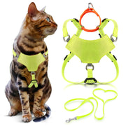 OutdoorBengal harnais face avant montrant ajustement sûr et design réfléchi