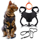 OutdoorBengal harnais face avant montrant coupe ergonomique et confort