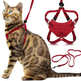 OutdoorBengal harnais avant rouge montrant maintien sécurisant
