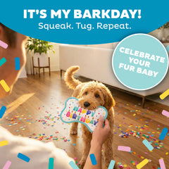 Outward Hound jouet en action avec chien, encourage activité et interaction