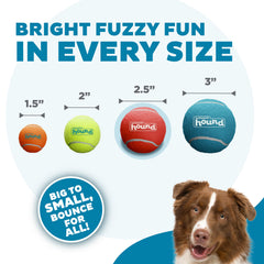 Chien courant avec balle Outward Hound au parc pour exercice et stimulation