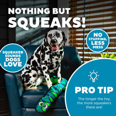 Outward Hound chien jouant avec le serpent durable pour divertissement actif