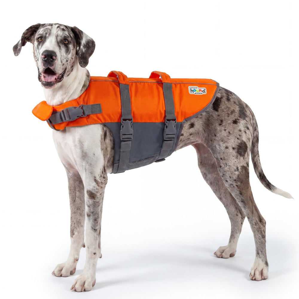 Outward Hound gilet devant affichant l'orange vif pour repérage