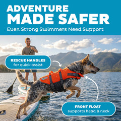 Outward Hound gros plan mousse de flottaison, soutien confortable