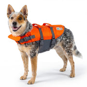 Outward Hound vue avant du gilet orange, visibilité accrue