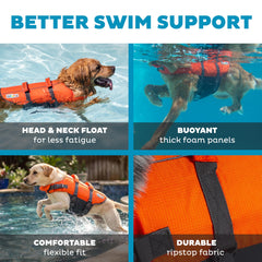 Outward Hound poignée supérieure solide pour levage et assistance rapide