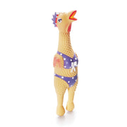 Outward Hound Henrietta face avant montrant design comique et engagement visuel