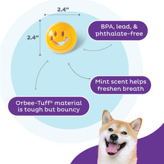 Outward Hound Nooks assemblé dans un Large Snoop pour augmenter le défi