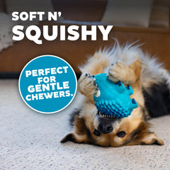 Outward Hound chien jouant avec le Tootiez Hedgehog, stimule activité et interaction