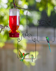 PACETAP gros plan barre en bois lisse, confort pour les pattes d’oiseaux