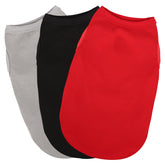 Paiaite t-shirt devant sur petit chien rouge montrant confort et style