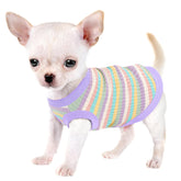 Paiaite t-shirt chien violet face montrant coupe ajustée et confort