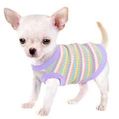 Paiaite t-shirt chien violet face montrant coupe ajustée et confort